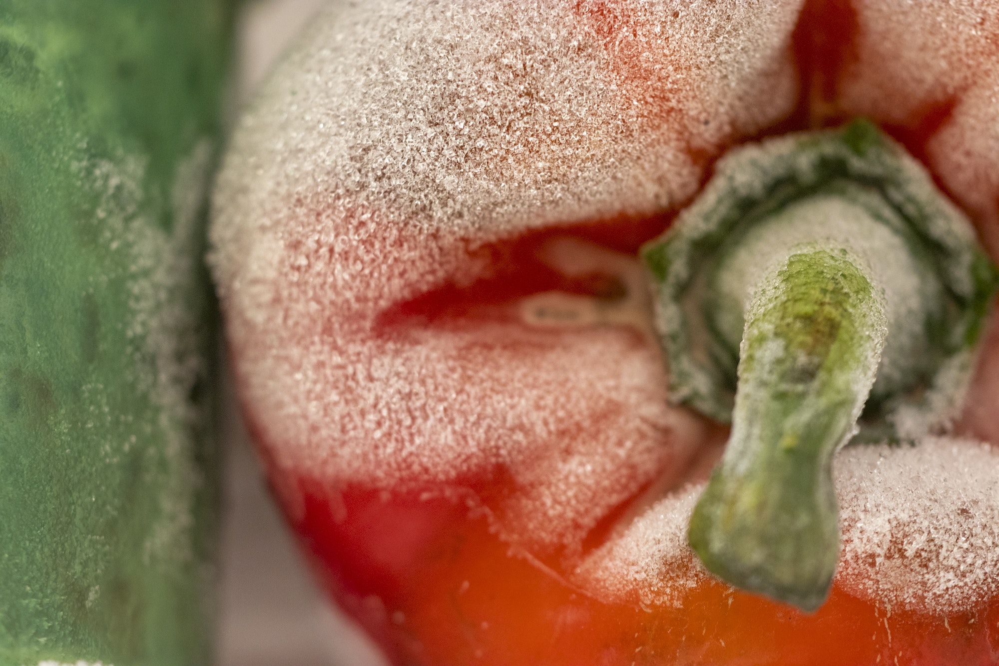 Closeup shot of a moldy red bell pepper