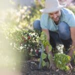 L'astuce maison (et très efficace) pour fertiliser toutes vos plantes sans dépenser un centime