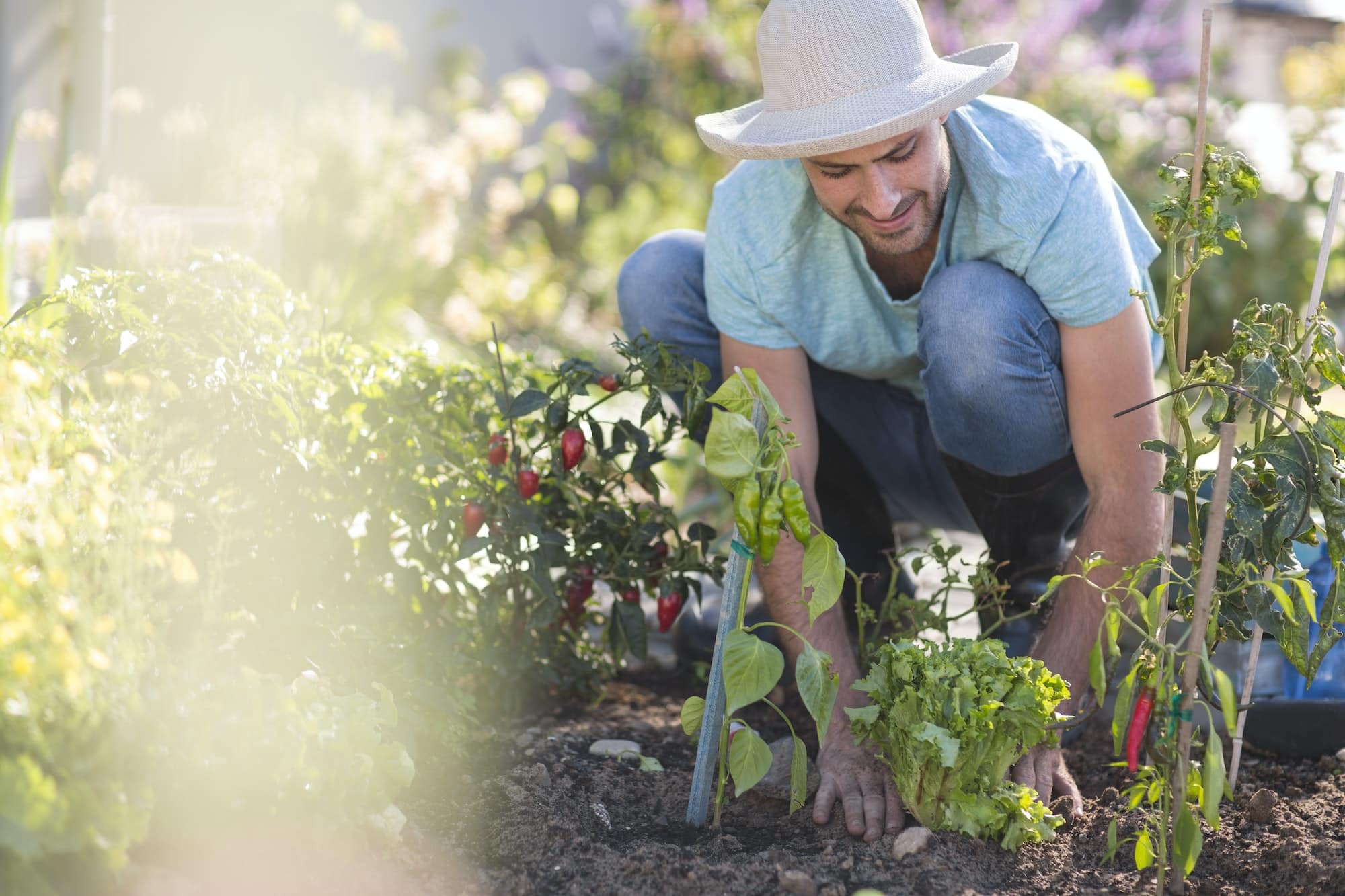 L'astuce maison (et très efficace) pour fertiliser toutes vos plantes sans dépenser un centime