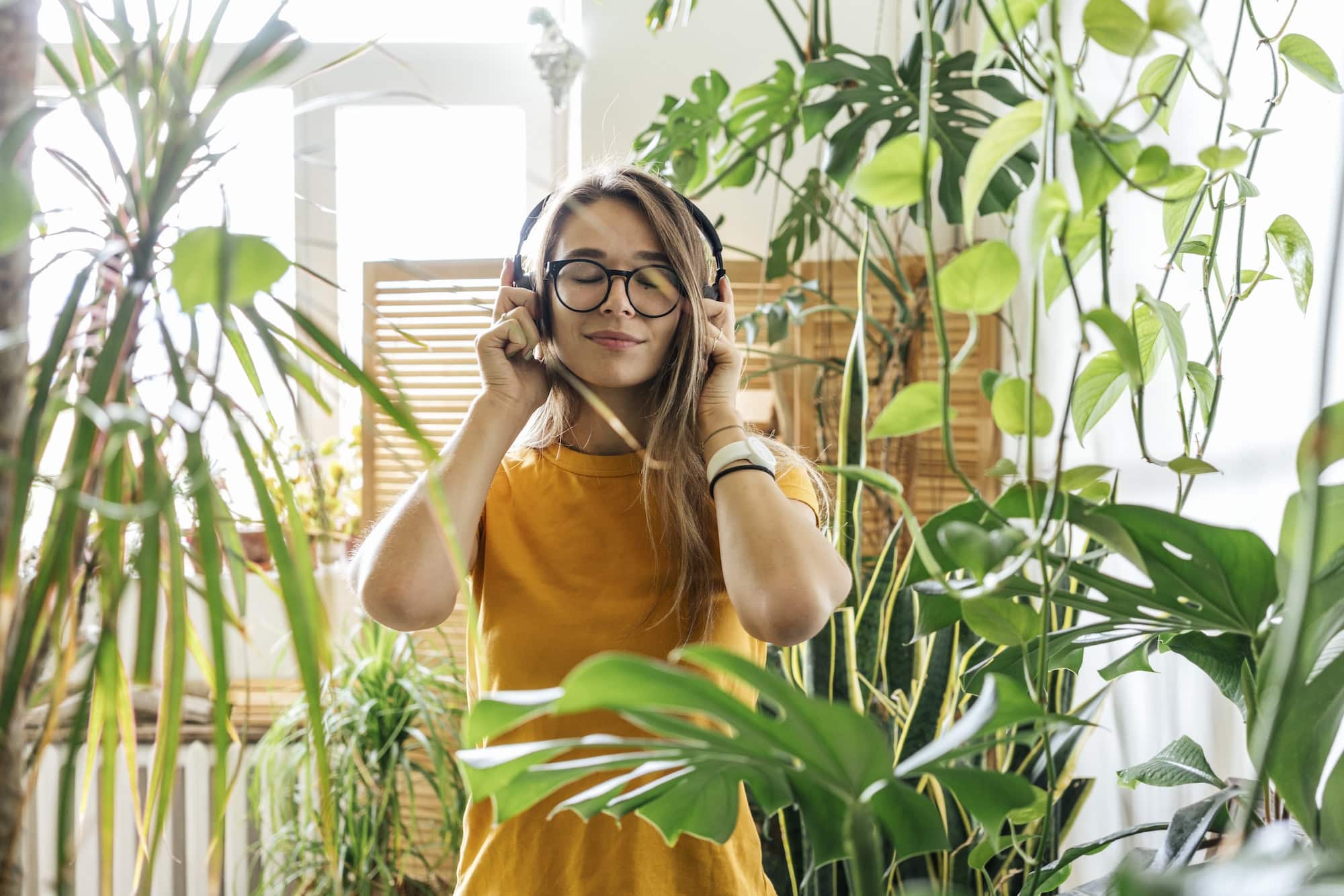 Les scientifiques affirment que les plantes "parlent" lorsqu'elles sont stressées