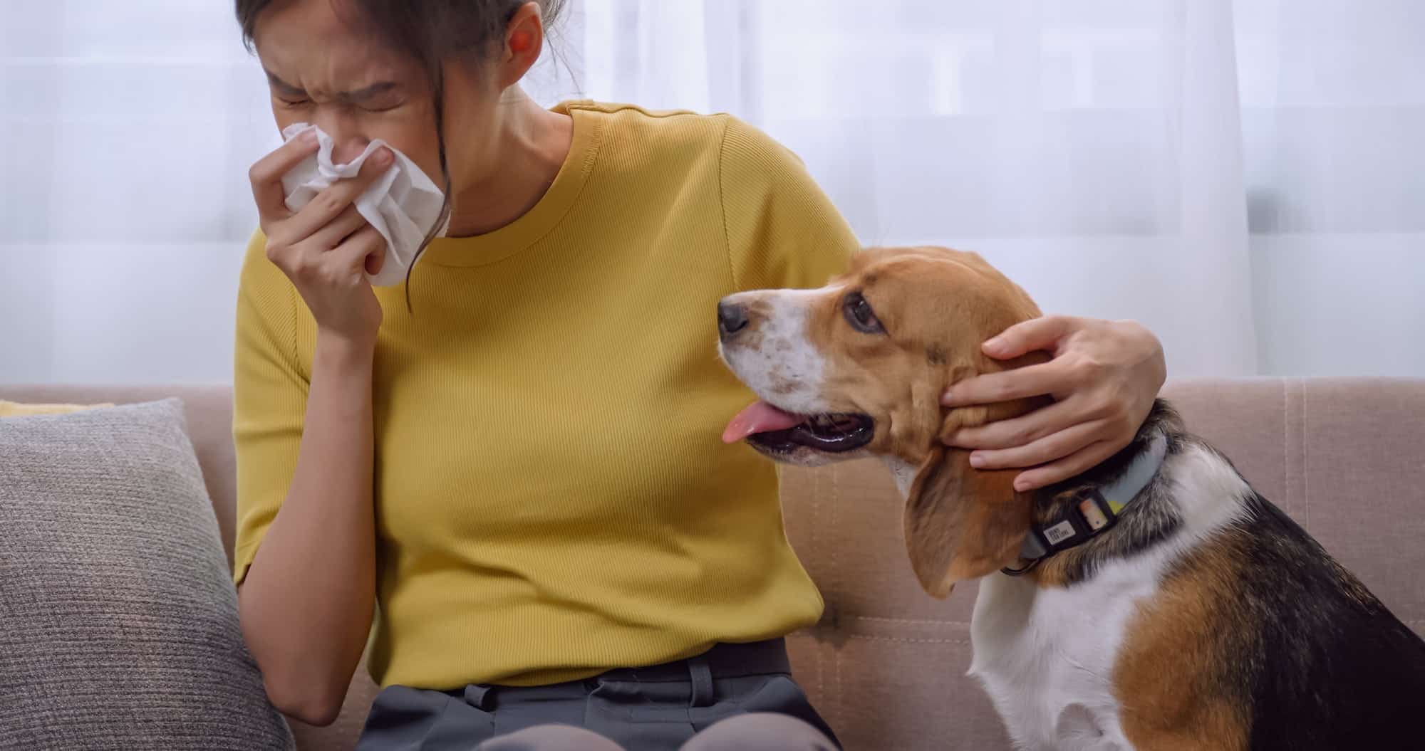 Comment vivre avec une allergie à votre animal de compagnie ?