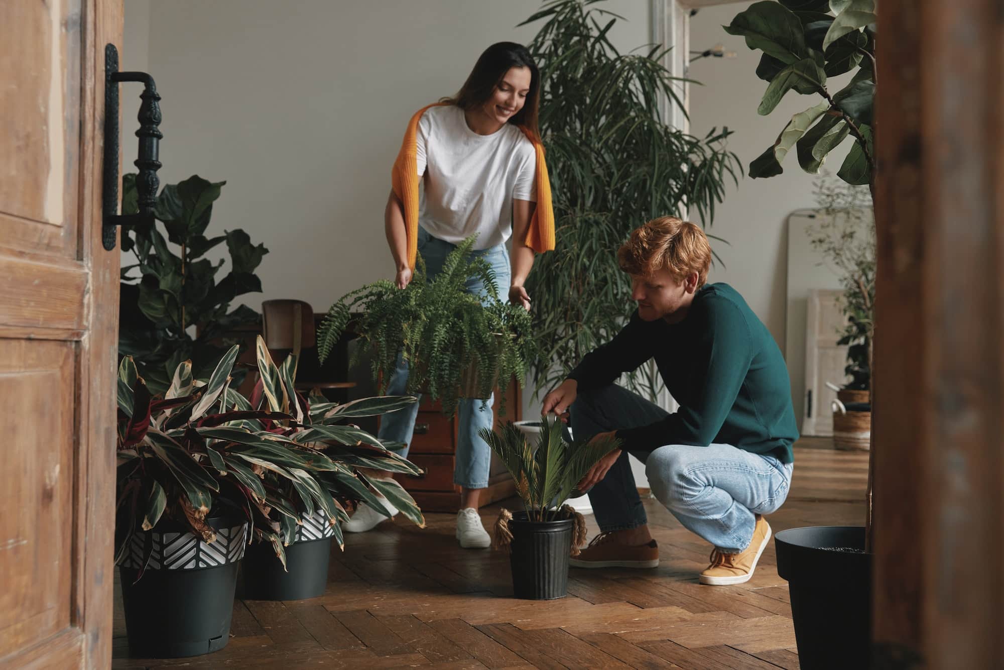 Les meilleures plantes d'intérieur : décorer sa maison et prendre soin de sa santé