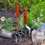 Transformez votre jardin en avril avec ces activités essentielles