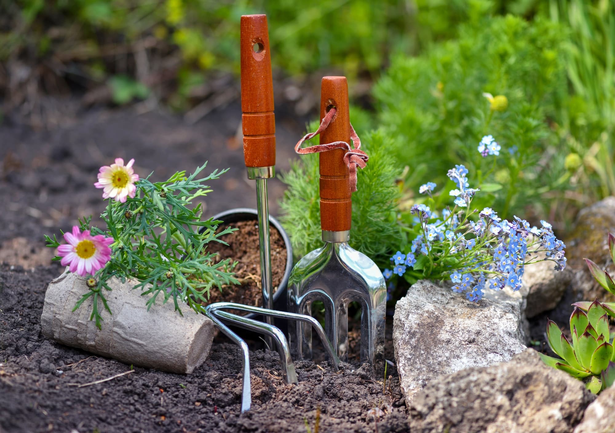 Transformez votre jardin en avril avec ces activités essentielles