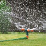 Transformez votre jardin en un paradis verdoyant en avril