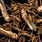 les super-aliments que nous mangerons dans un avenir proche