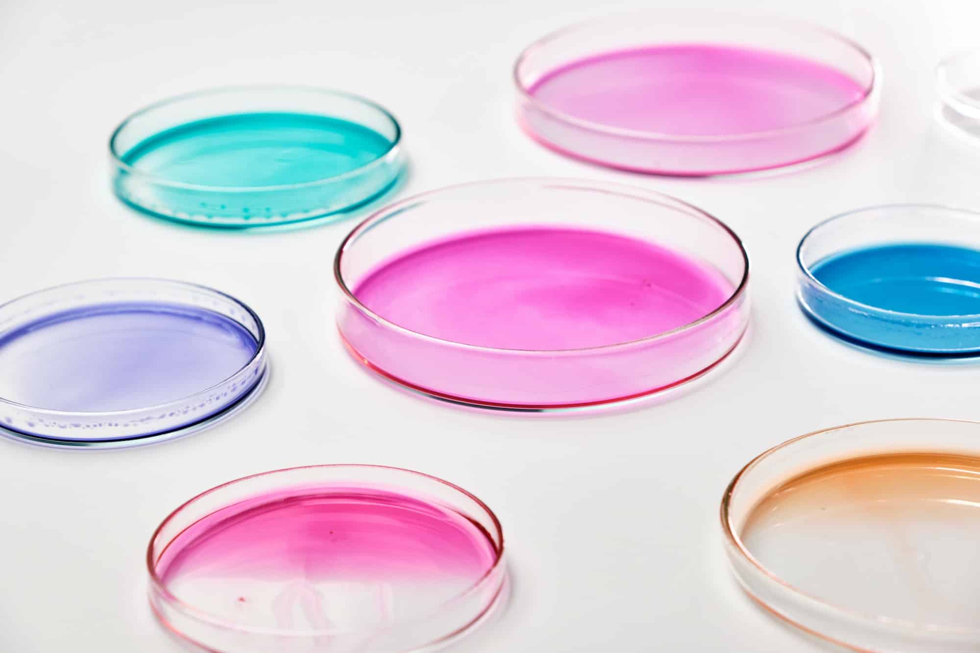 Le secret de la longévité se trouve dans les microbes