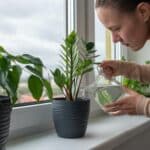 Woman watering plants at home