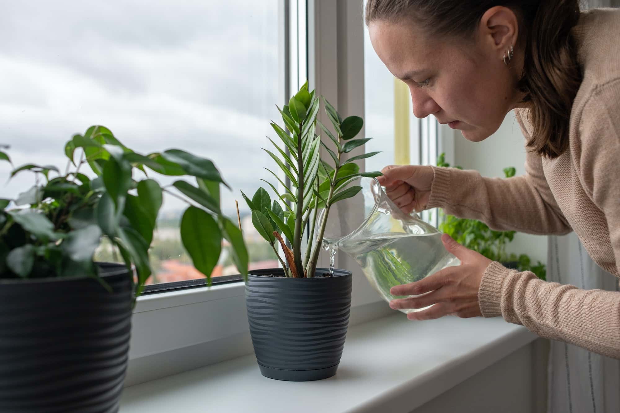 Woman watering plants at home