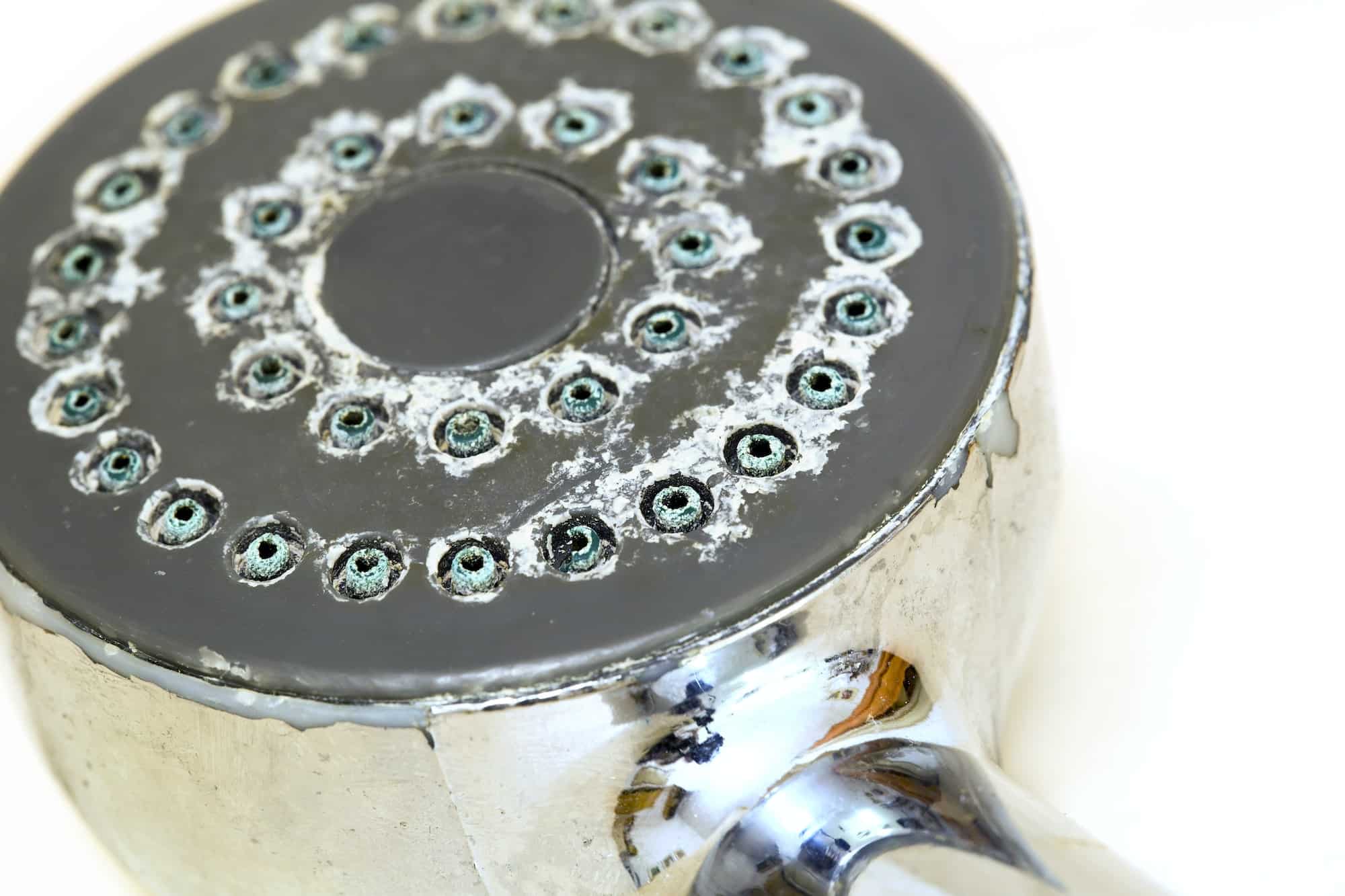 Nettoyez votre pommeau de douche comme un expert : découvrez la méthode infaillible et écologique !
