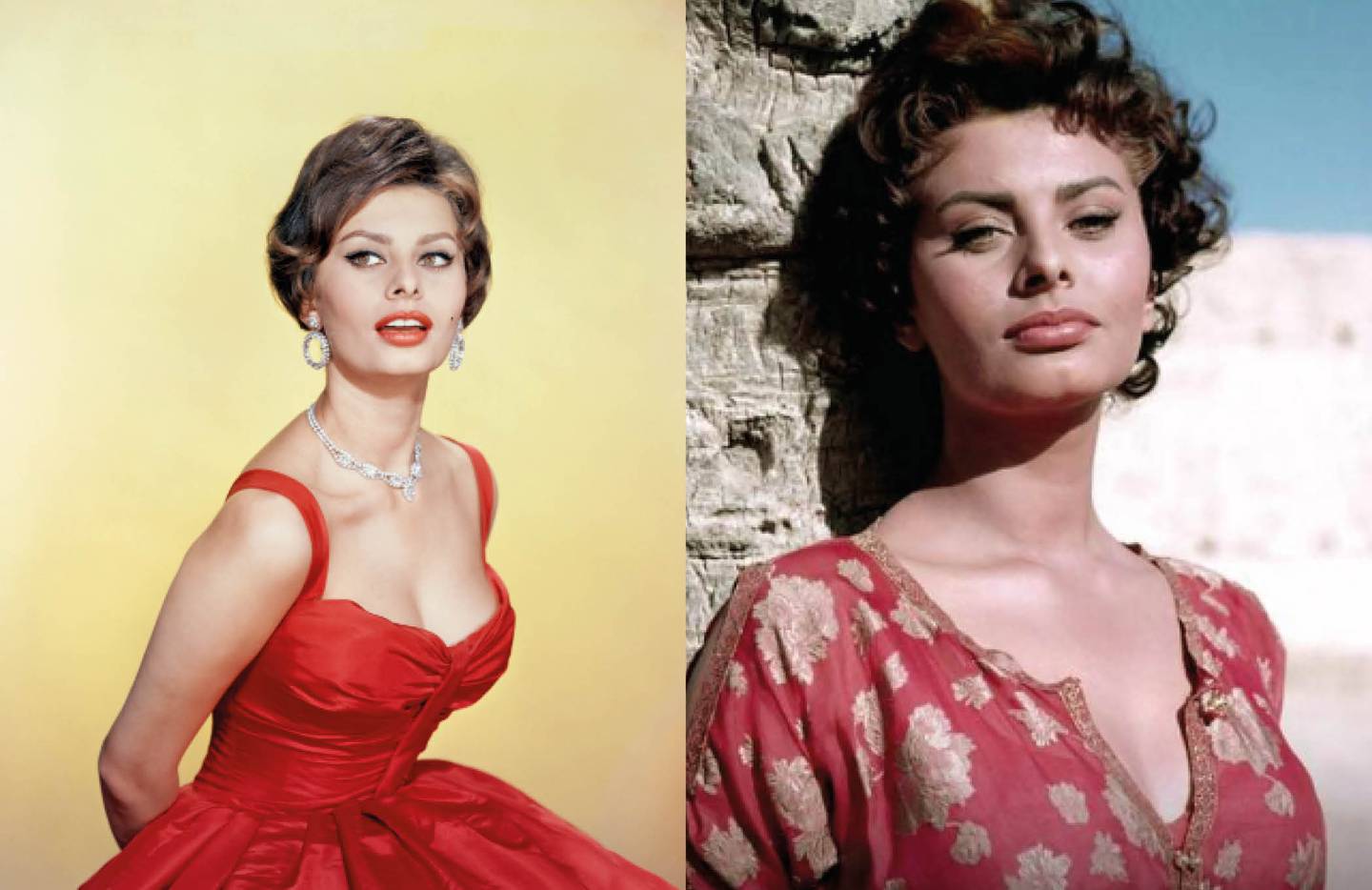 Sophia Loren