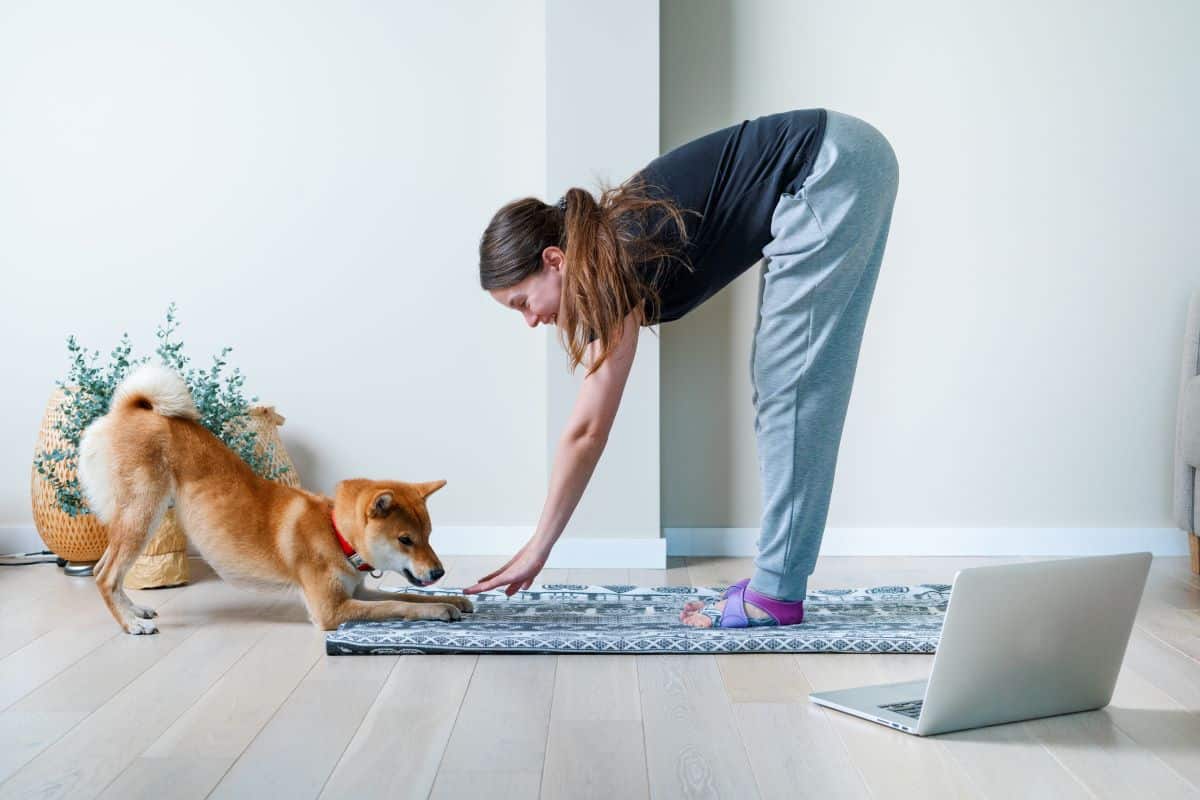doga yoga chien