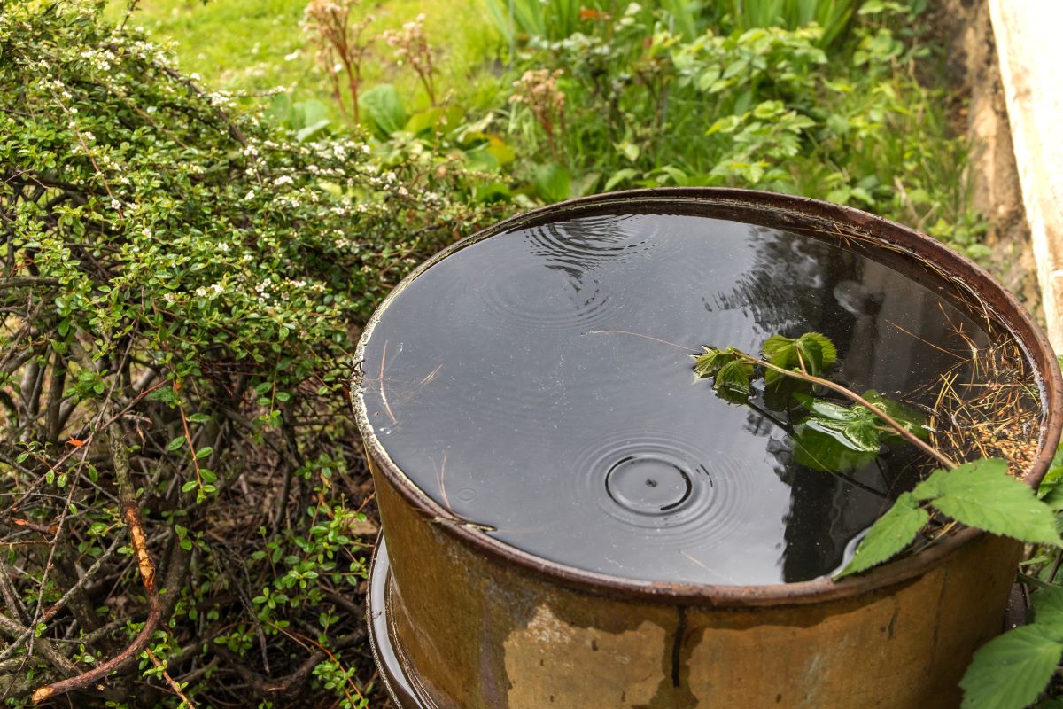 récupérateur eau de pluie