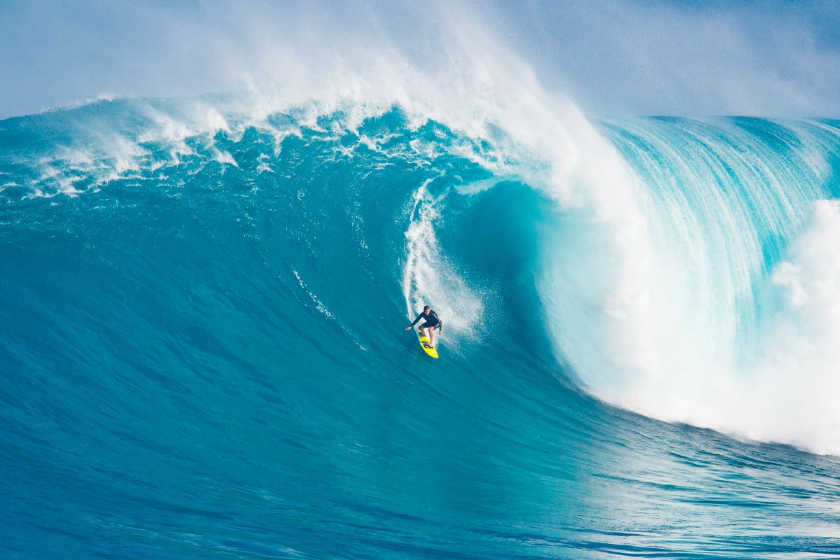 surfeur vague geante