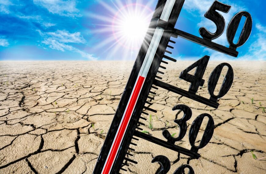 survie canicule