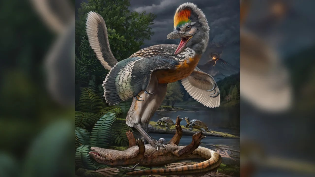 Reconstitution artistique de Fujianvenator prodigiosus, un dinosaure ressemblant à un oiseau.