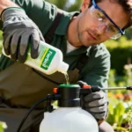 Jardinier versant du Roundup dans un pulvérisateur de 10 litres avec gants de protection